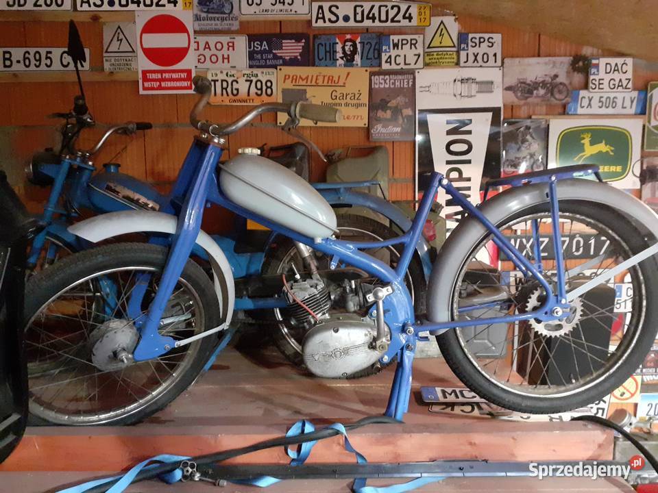 Romek Komar MR232 Sztywniak mazowieckie