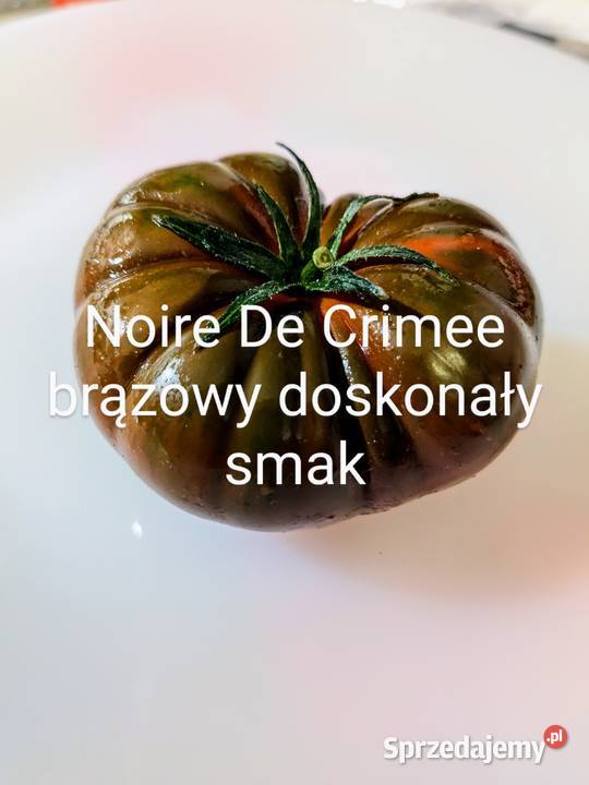 Noire De Crimee brązowy doskonały smak pomidor Nasiona Kraków