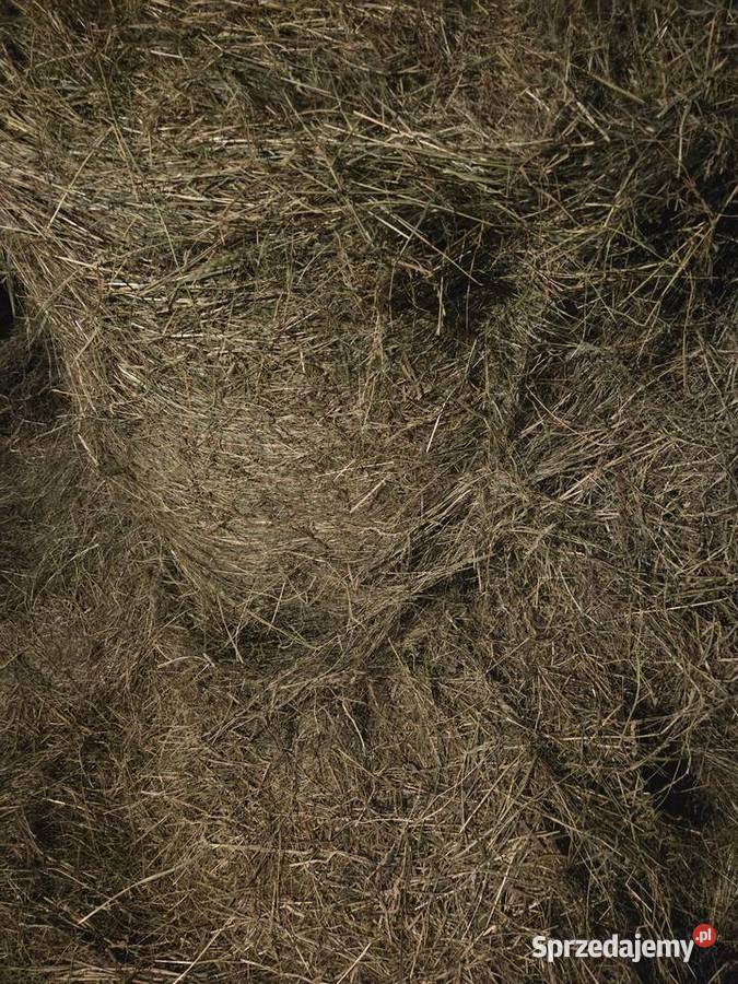 Sprzedam siano Pozostałe Będków