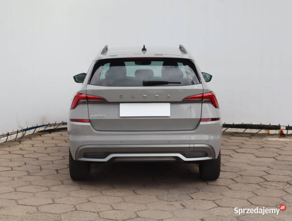 Skoda Kamiq 10 TSI przyciemniane szyby Łódź