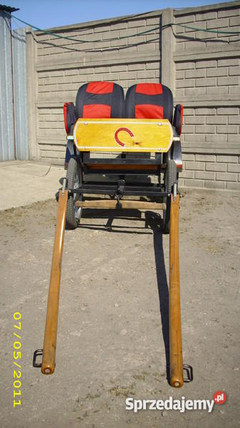 KLACZ KUCA SZETLANDZKIEGO Pleszew