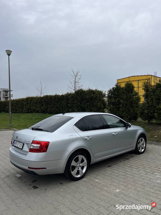 Skoda Octavia III style 20 TDI 150 DSG 2019