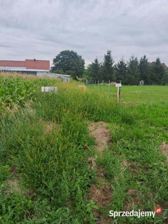 Domek na działce 20 arowej Osłowice