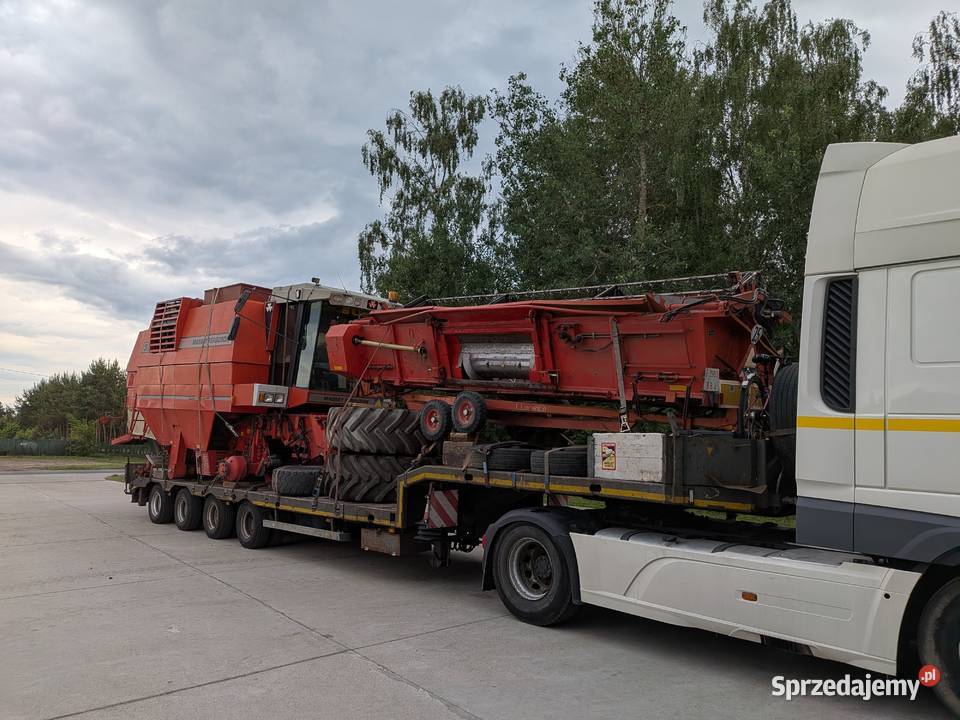 Massey Ferguson 36 droningborg Claas John Ciemniewo