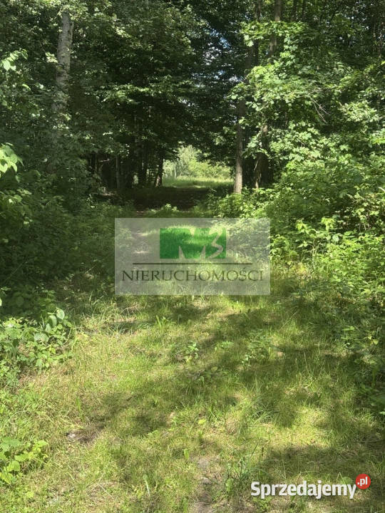 NA SPRZEDAŻ DZIAŁKA W OTOCZENIU LASU W JELNEJ Jelna