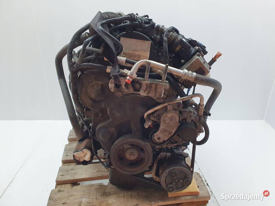 SILNIK KOMPLETNY Ford C C 16 TDCI 109 sprawny osobowe Rudka