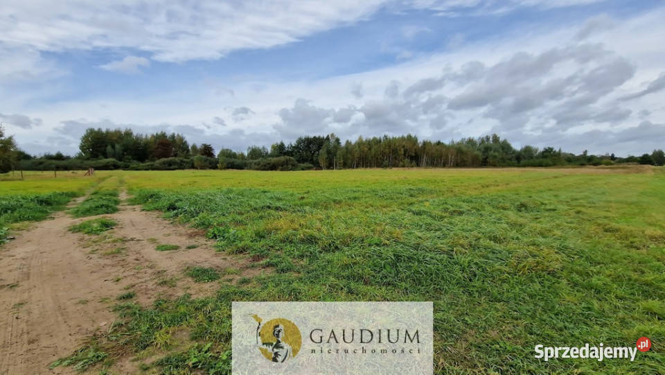 działki w Drewnicy Sprzedaż pomorskie Drewnica sprzedam