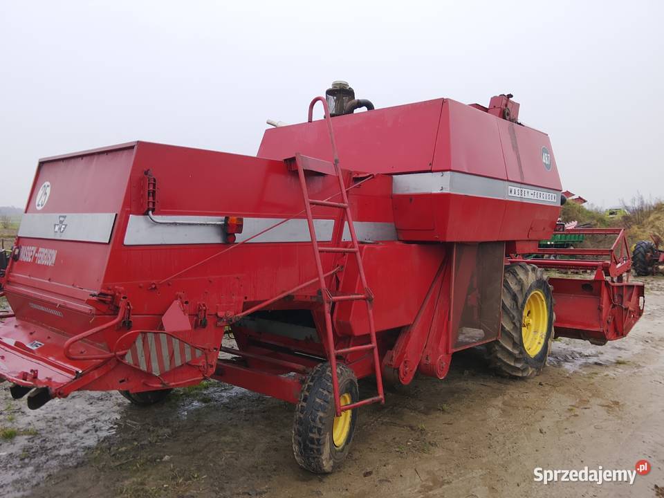 Kombajn zbożowy Massey ferguson 487 z Skaryszew