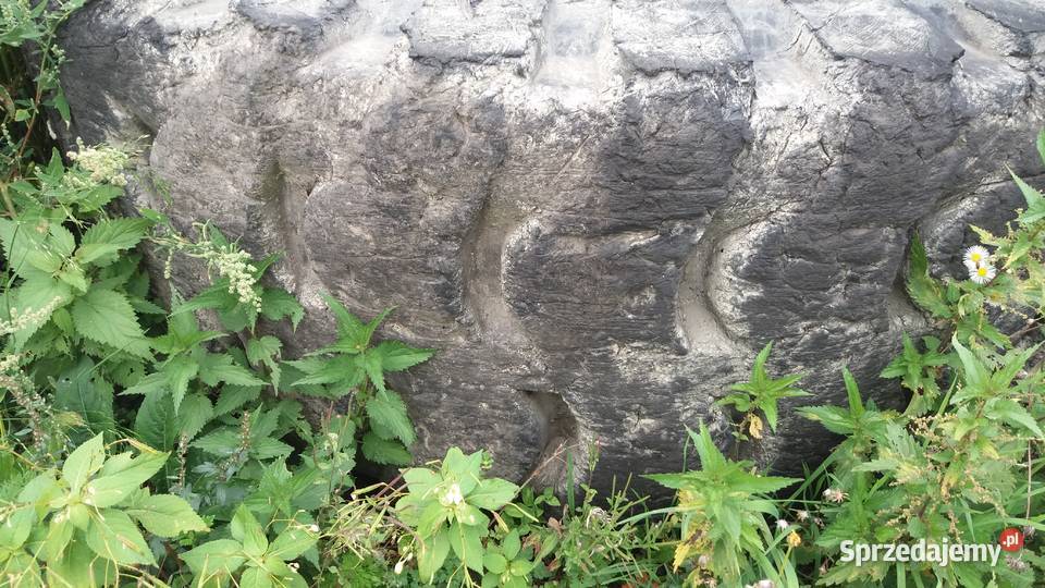 opony 23525 235r25 różne możliwość zamontowania Paczków