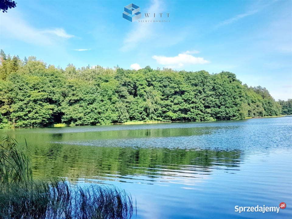 Działka 30000m2 Florczaki