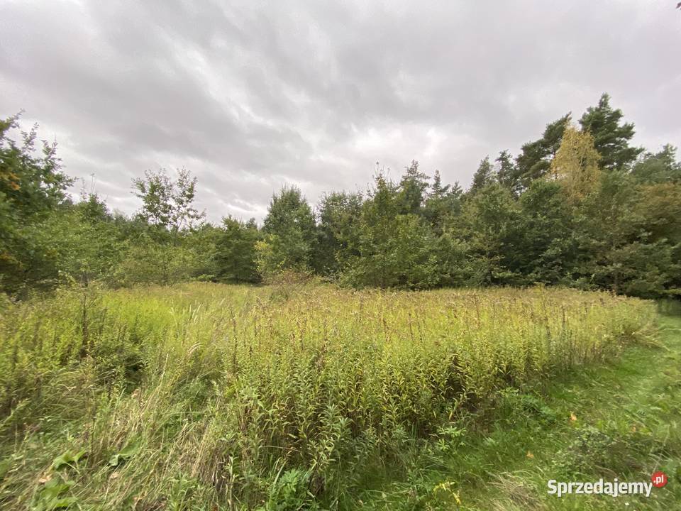 Wydzierżawię działkę rolną 37ha 37000m2 Wynajem Krzczonów