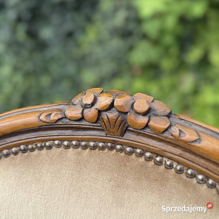 ARTexpert Wygodny Pałacowy fotel Ludwik welur Dobrzany