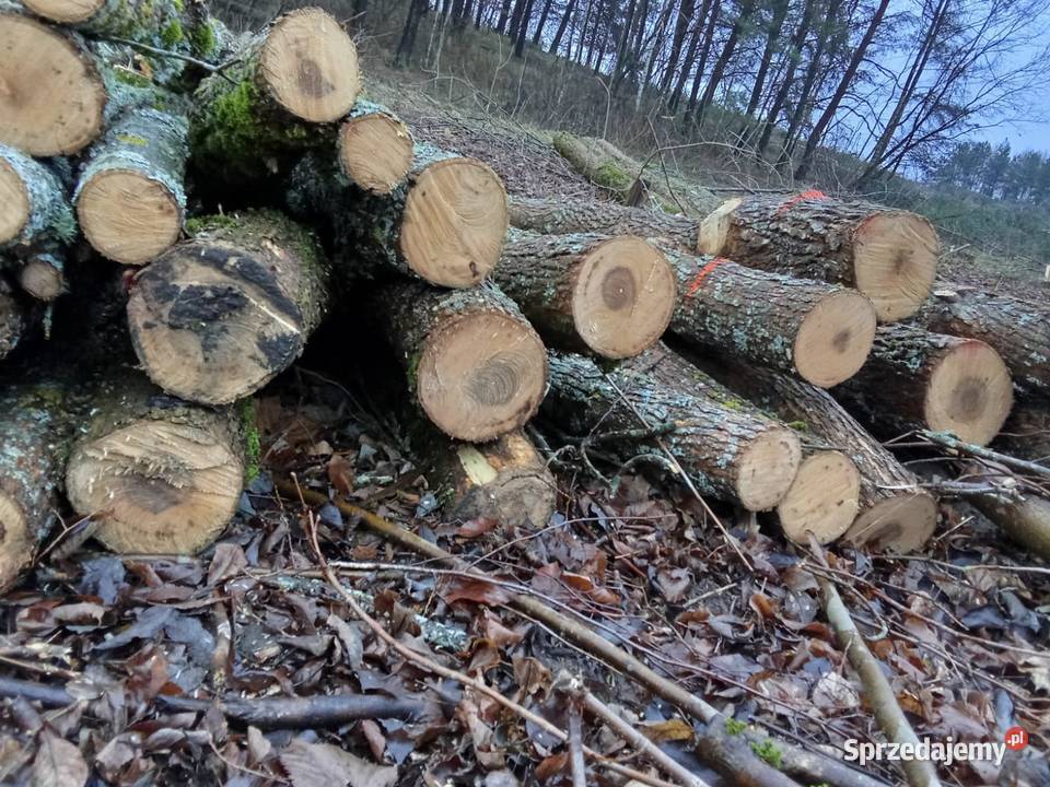 Różne rodzaje drewna opałowegokominkowego Pisz