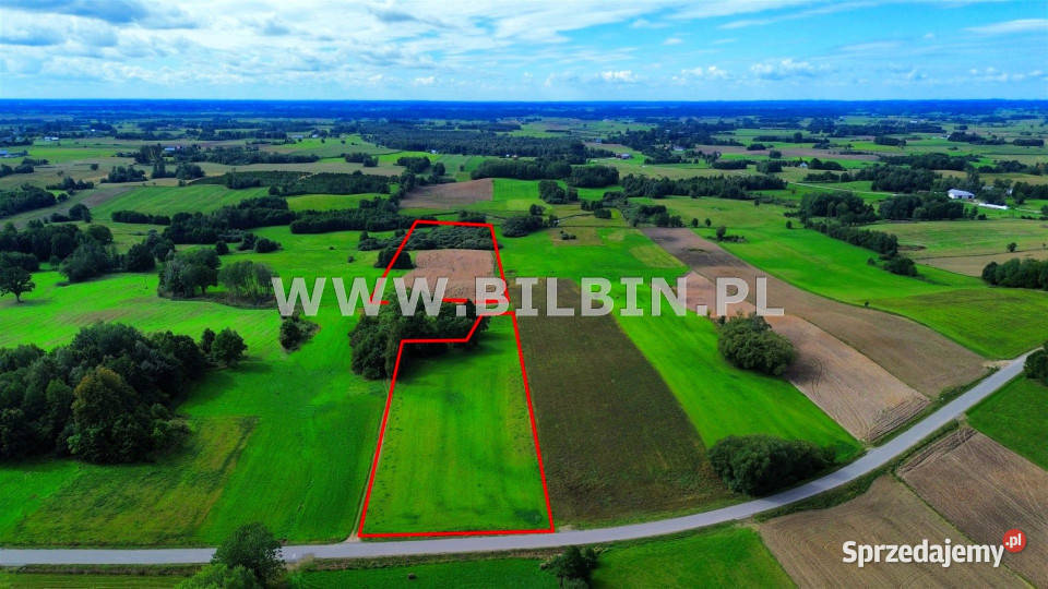 Działka Stara Dębszczyzna 46512m2