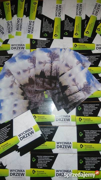 Wycinka drzew metoda tradycyjną Pozostałe usługi