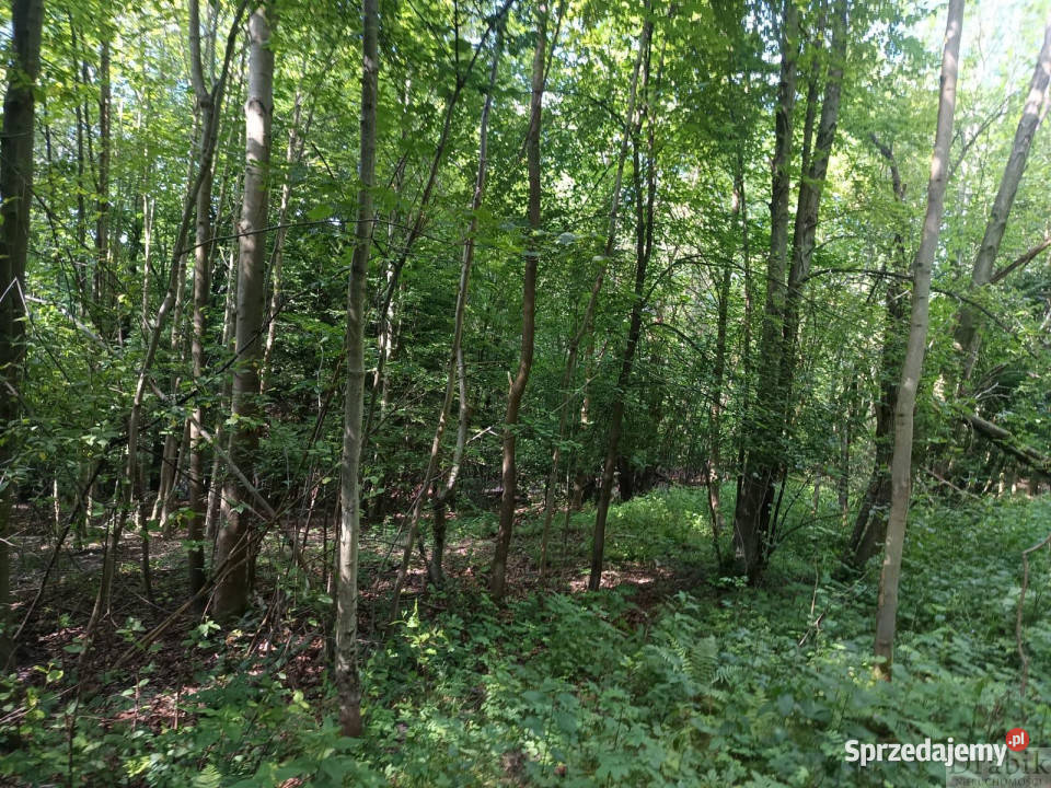 Działka Budzów 4545m2 4545m2