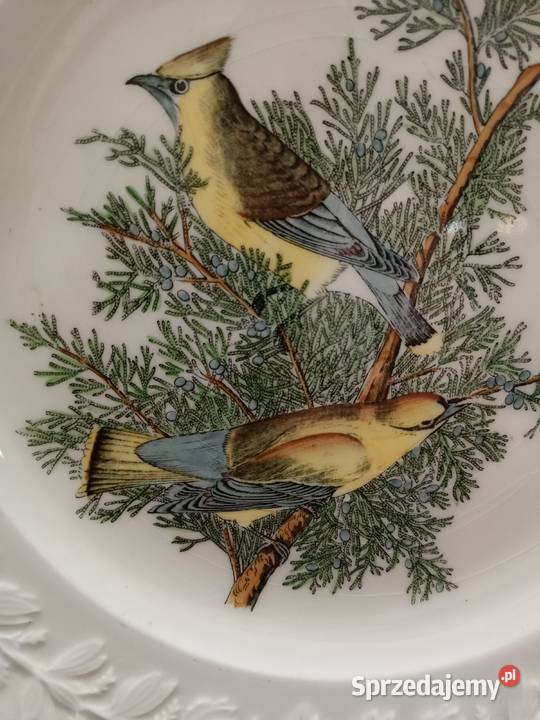 Talerz obiadowy birds America ilustra AUDUBONA Zamość