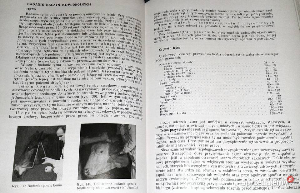 Weterynaryjna diagnostyka kliniczna Janos Mocsy