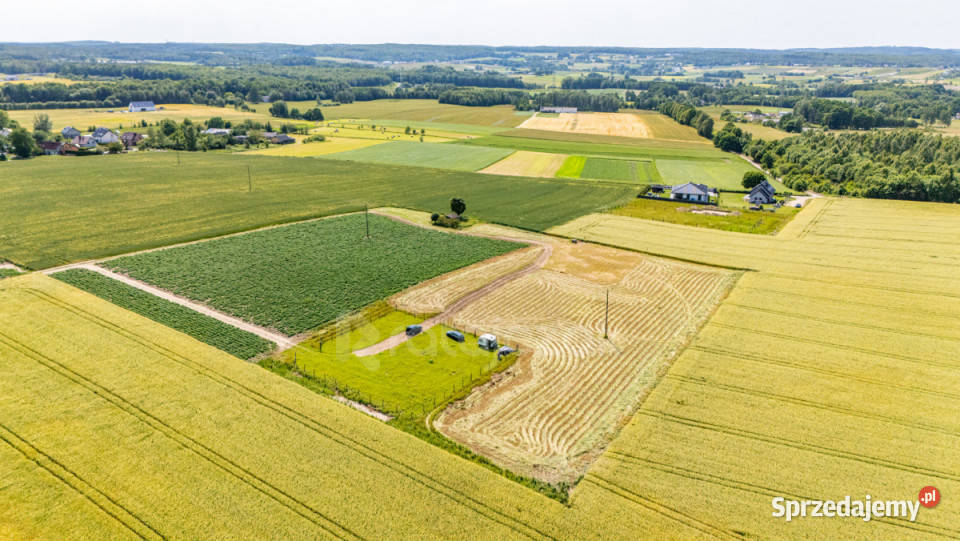 Działka 1014m2 Robakowo Królewska Nieruchomości sprzedam