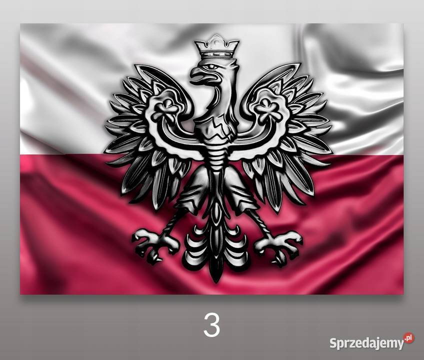 Naklejka Naklejki Polska Godło Orzeł ADR TIR Kobierno sprzedam