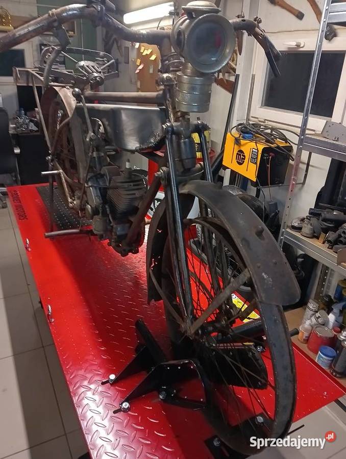 Sprzedam terrot l uszkodzony Gostycyn