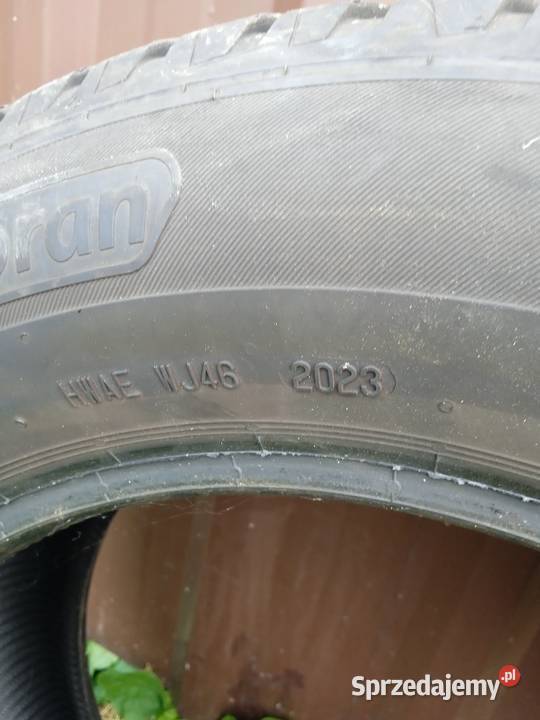 Opony Polaris Barum 195x65x15 lato