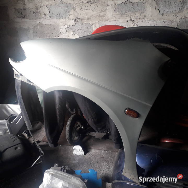 Błotniki Renault MeganeScenic I przed liftem Żabno sprzedam