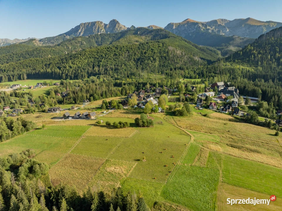Działka rolna 3115 m Kościelisko