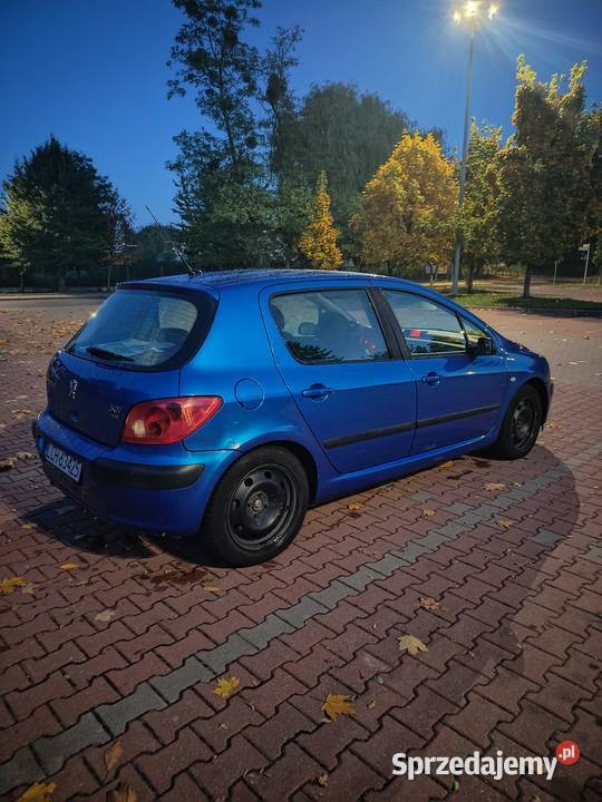 Peugeot 307 16HDI 109 Rok produkcji 2004 Tomaszów Lubelski sprzedam