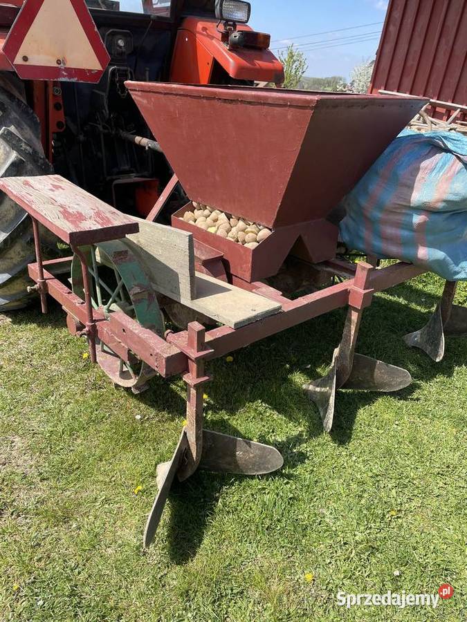 Sadzarka do ziemniaków Zalasowa