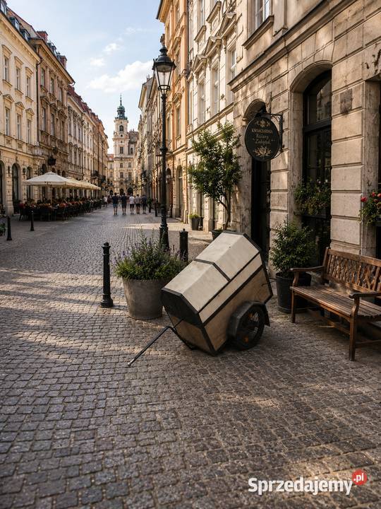 Wózek Do Roweru Transportowy Poddębice