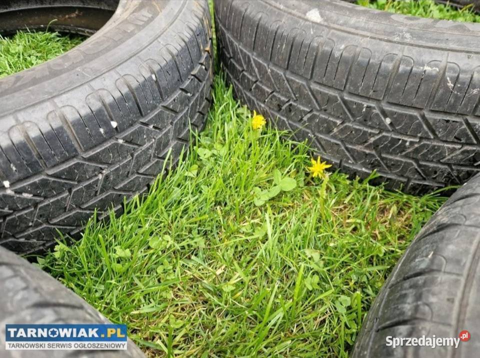 Opony Letnie Hankook 21565R17 Hankook Ryglice