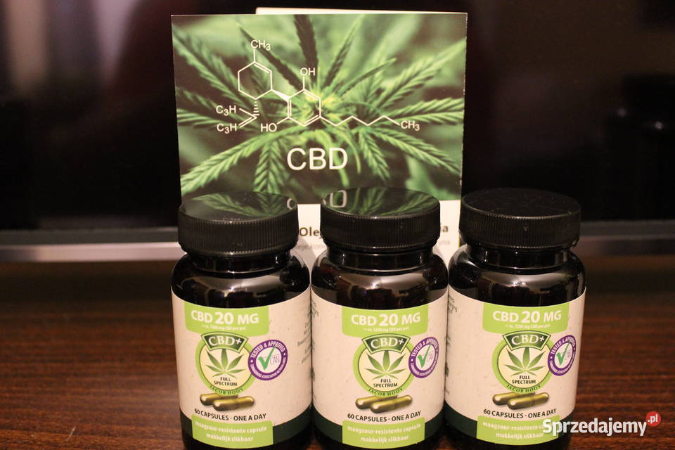 Jacob Hooy CBD 20mg 60 Kapsułek Łódź