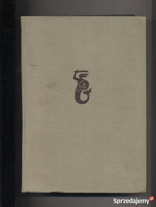 Powstanie Warszawskie 1944 zarys działań natury