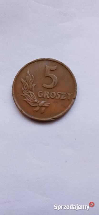 Moneta 5 gr 1949 Skoczów