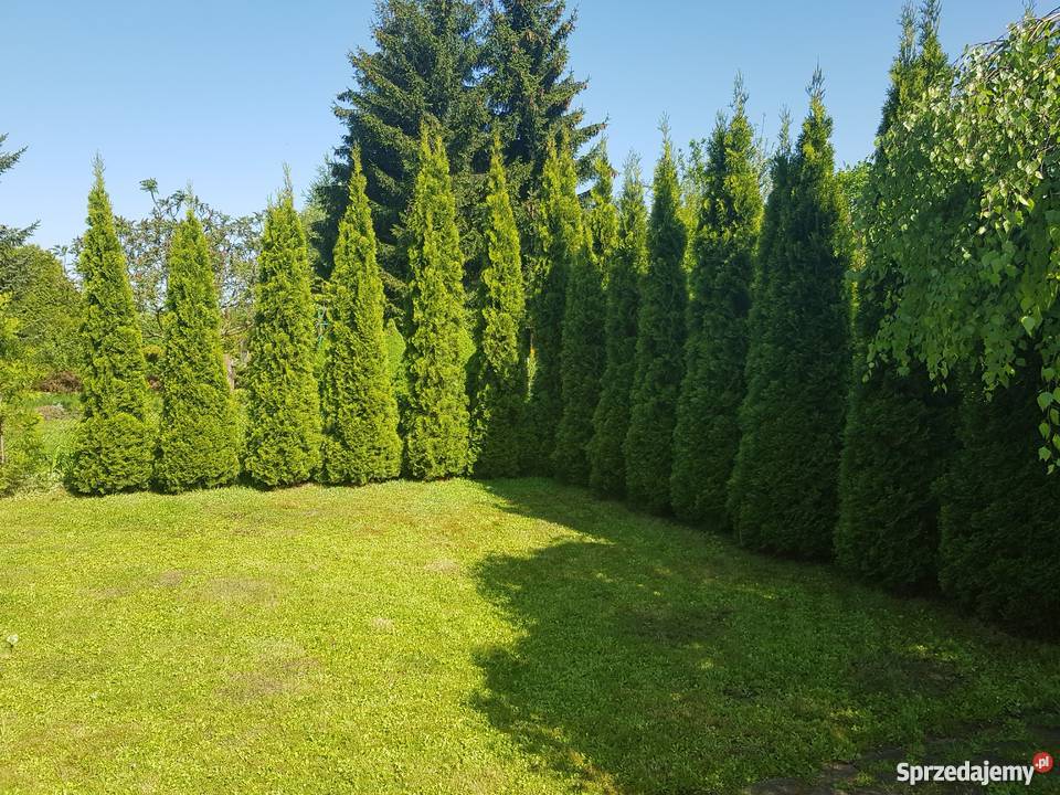 Działka rekreacyjna ROD Poznań Krzesiny rekreacyjna