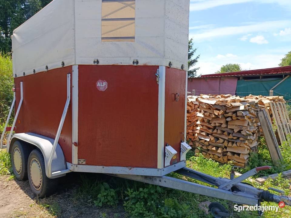 Przyczepa do transportu koni Nowogard