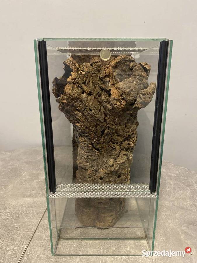 Terrarium 202530 Pozostałe Sosnowiec