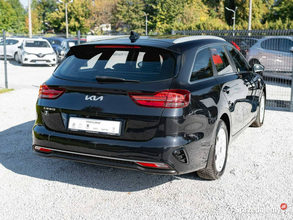 Kia Ceed WA5659H15 TGDI M DCT 2 stref klima Kcof Zarejestrowany w Polsce Samochody osobowe pomorskie