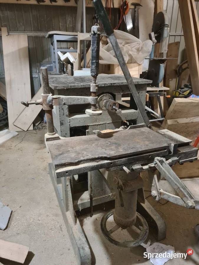 WiertarkoCzopiarka podkarpackie Mała