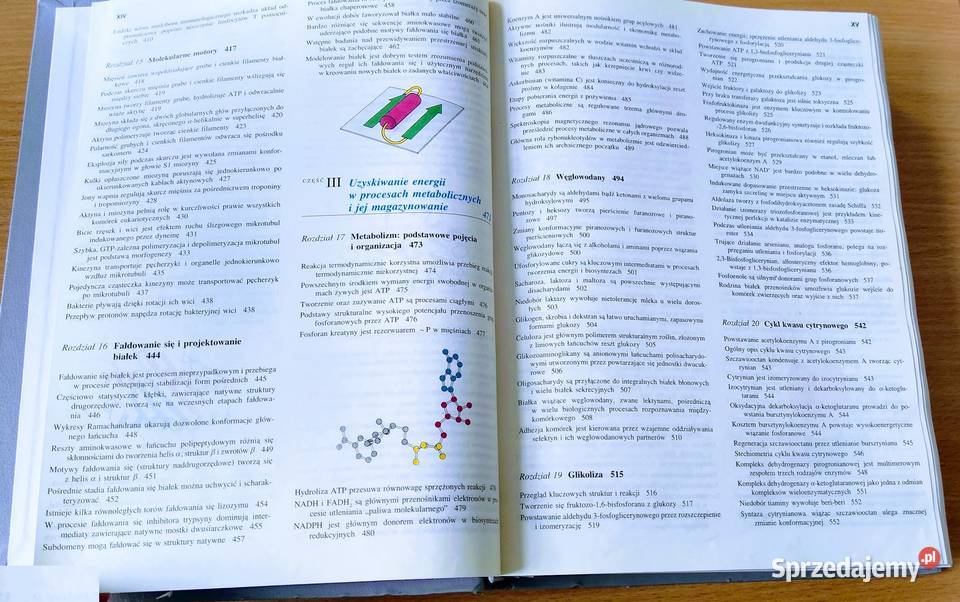 Biochemia Lubert Stryer WYDANIE NOWE 2000 biologia Gdańsk