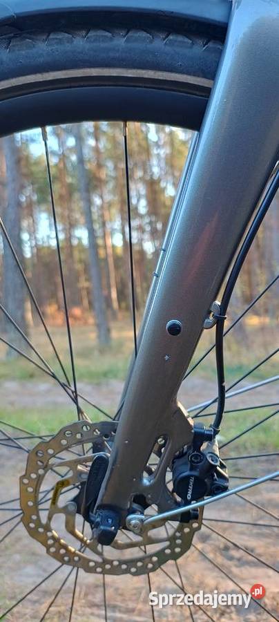 Rower Giant Any Tour CS Toruń