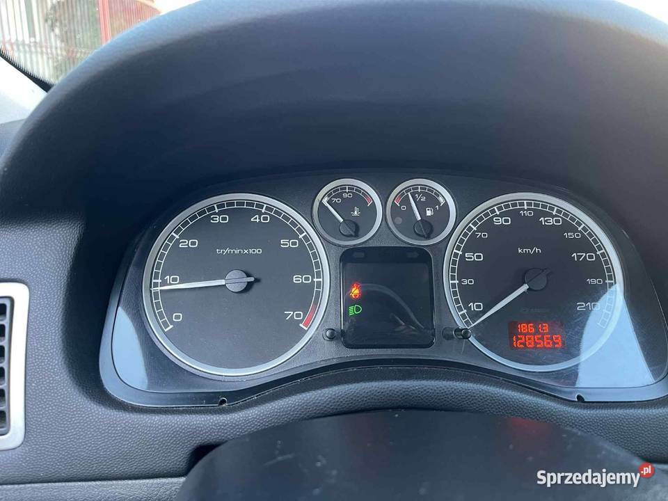 PEUGEOT 307 16 benzyna 2003 wspomaganie Zgierz