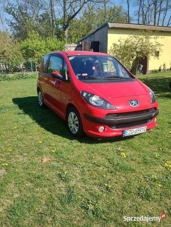 Peugeot 1007 łódzkie Felicjanów