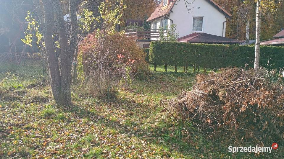 Dzialka rekreacyjna ROD Przywidza pomorskie Przywidz