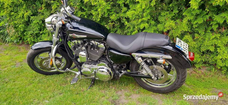 Harley Davidson Sportster XL 1200 customsprzedam Żnin