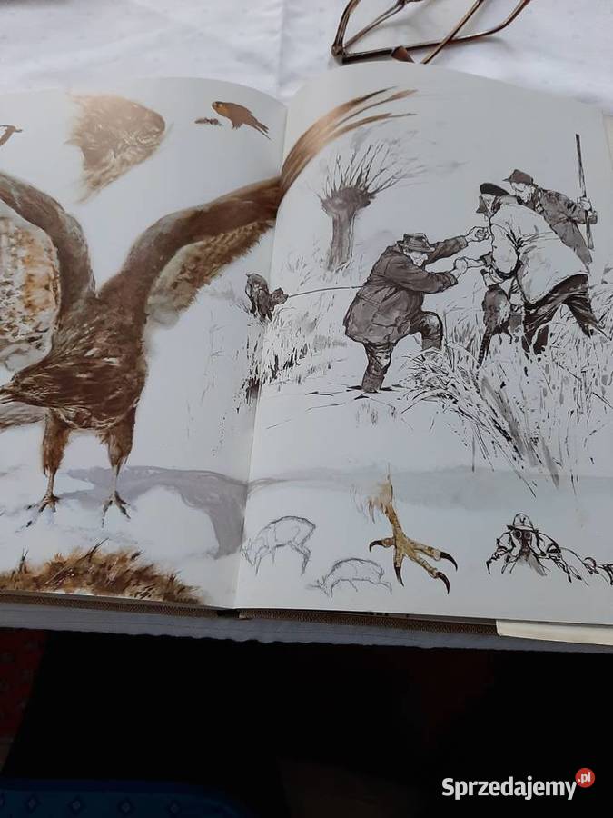 Auf der Jagd na polowaniu Lądek-Zdrój