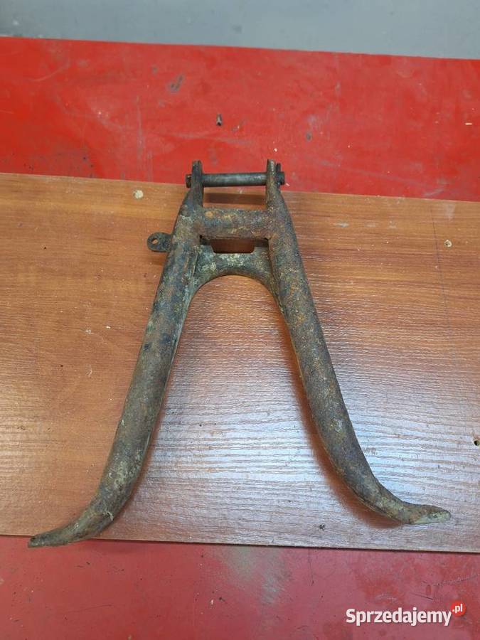 Komar sztywniak komar 2320 podkarpackie Krzywcza