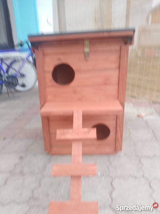 Domek kilku kotówPromocja Grodziec