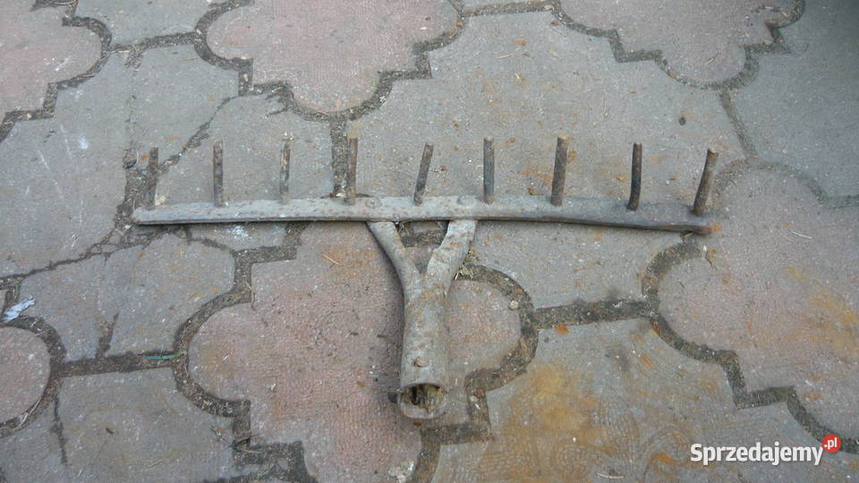 Grabie stare kowalskie kute Sokółka